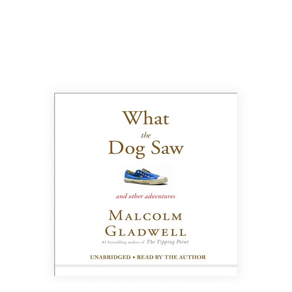 what the dog saw essay pdf