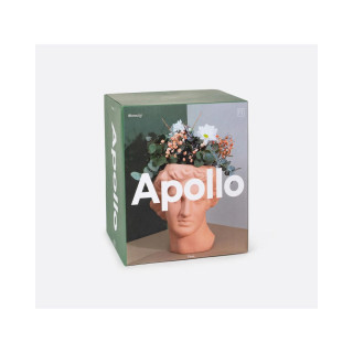 Вазна, Apollo Terracotta 