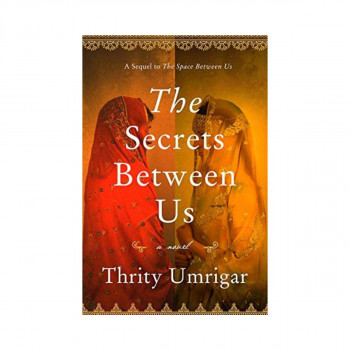 The Secrets Between Us 