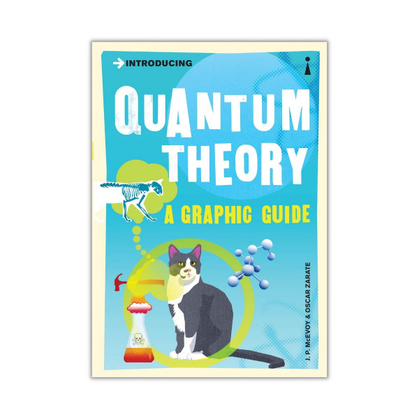 Introducing Quantum Theory : A Graphic Guide 