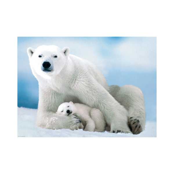 Сложувалка, Polar Bear and Baby, 1000 парчиња 